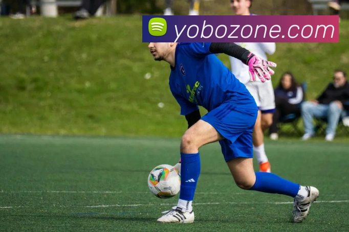 亚搏app平台生态图